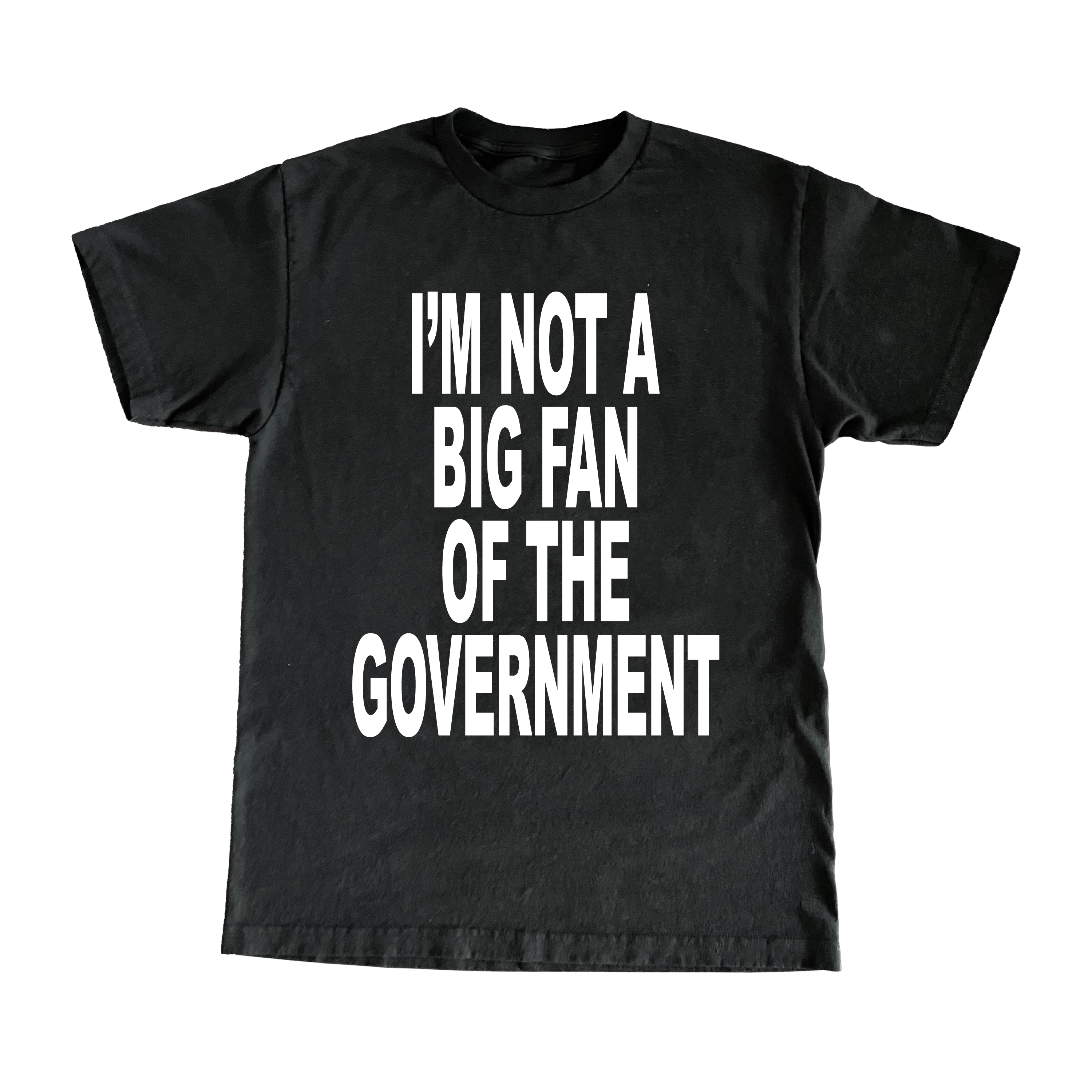 I'm Not A Big Fan Of The Government T-Shirt